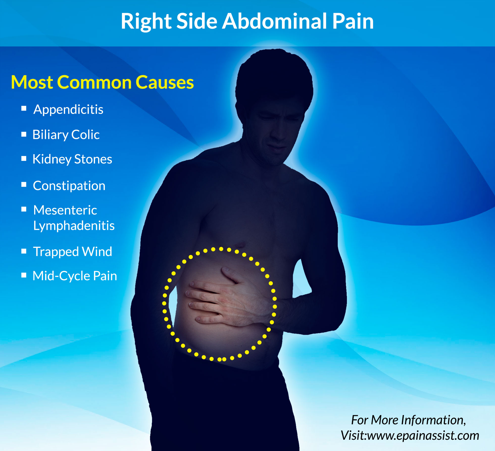  following organs/structures are found on the right side of the abdomen