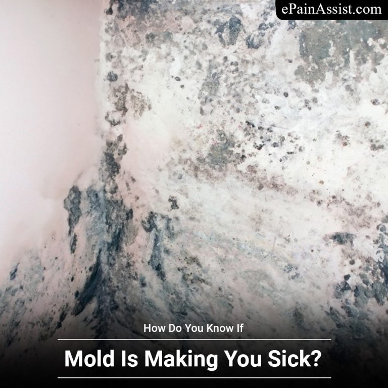 How Do You Know If Mold Is Making You Sick?