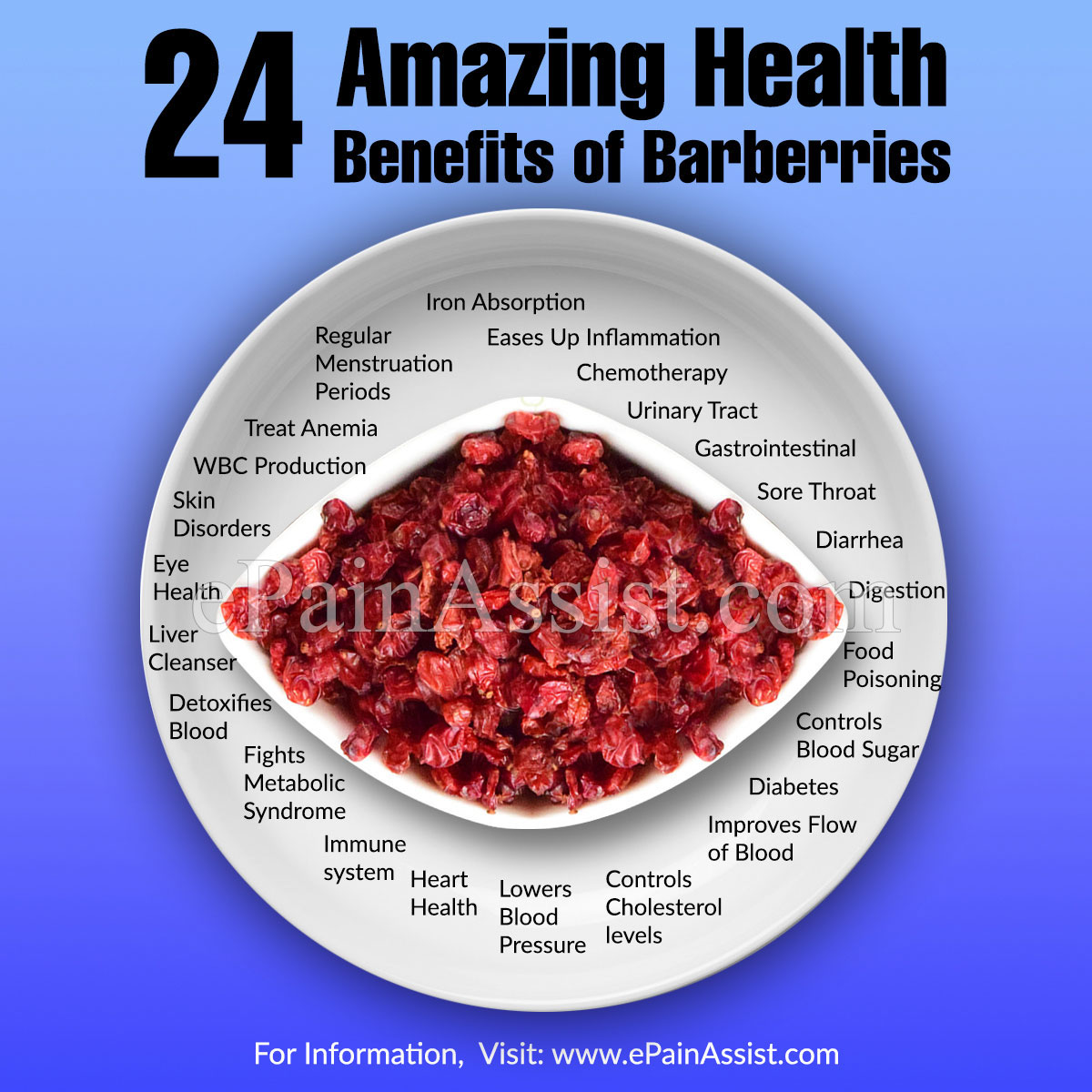 24 Amazing Health Benefits of Barberries