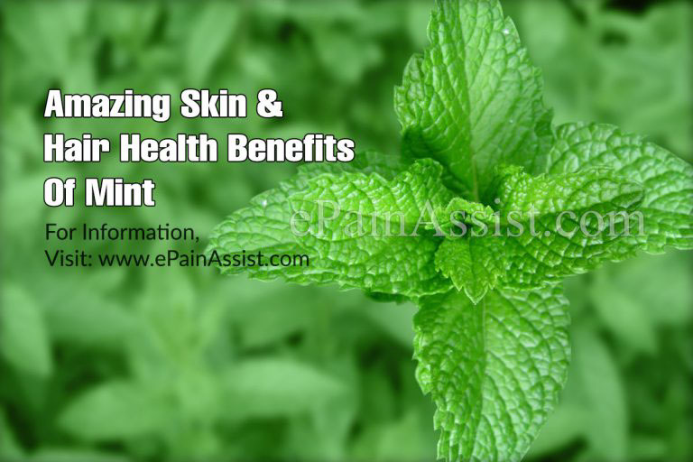 Amazing Skin & Hair Health  Benefits Of Mint (Pudina)