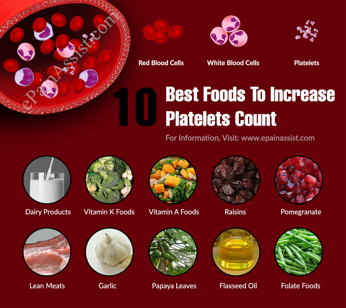 10 Best Foods To Increase Platelets Count 