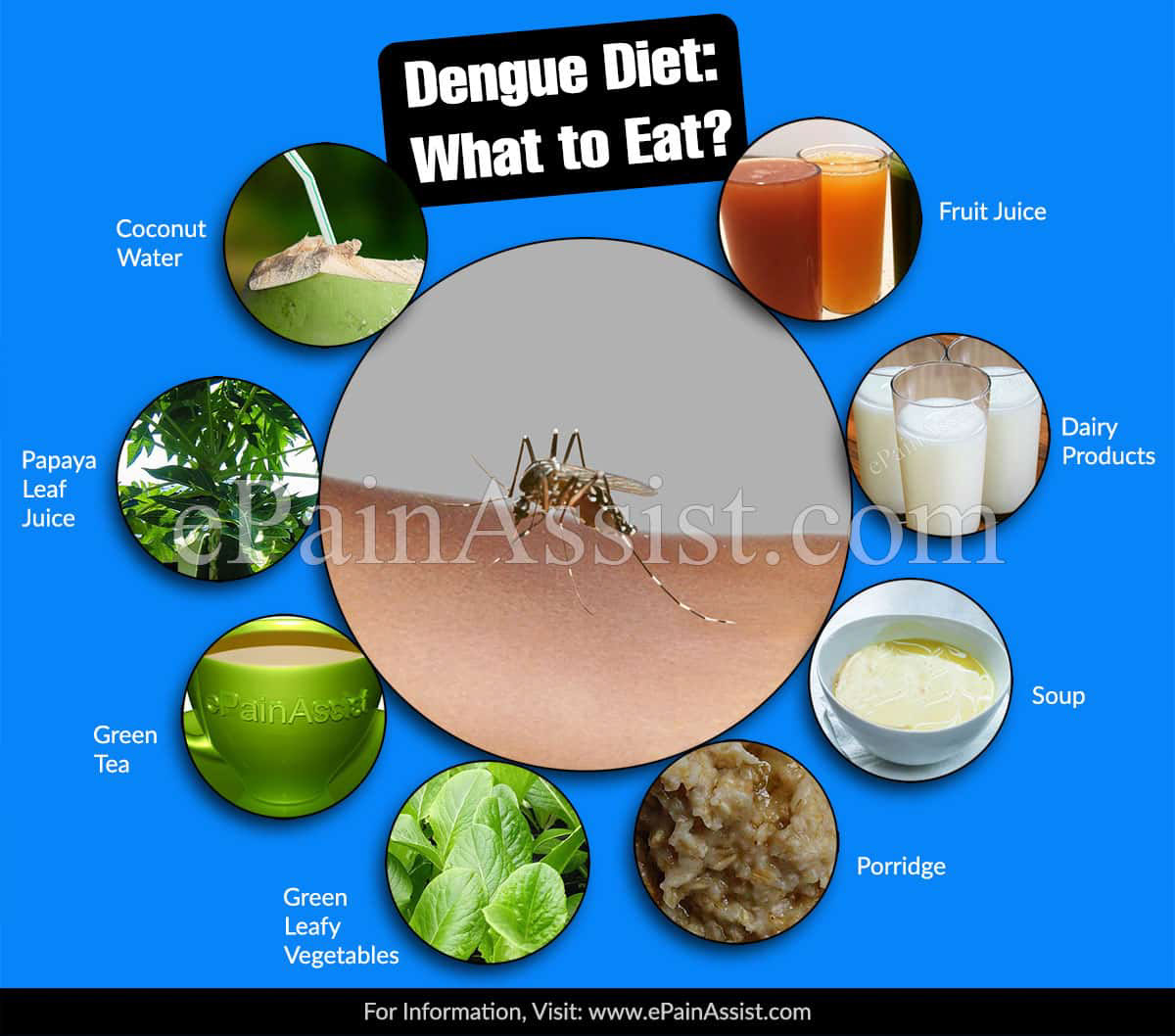 Dengue Diet: What to Eat?