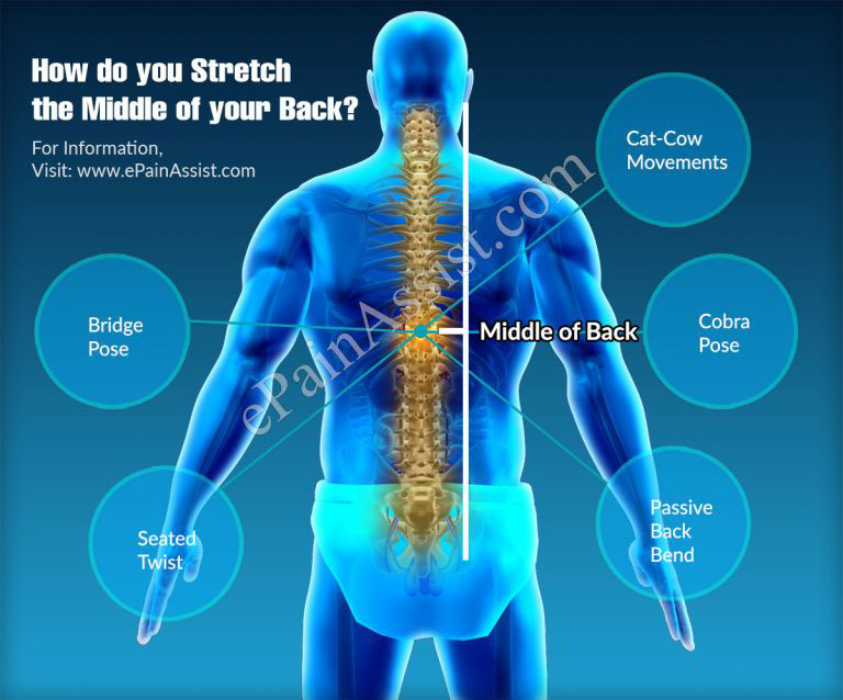 How Do You Stretch The Middle of Your Back?