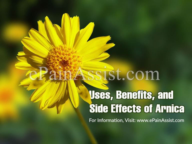 Uses, Benefits, and Side Effects of Arnica