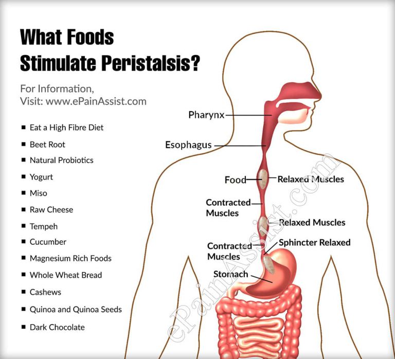 What Foods Stimulate Peristalsis?