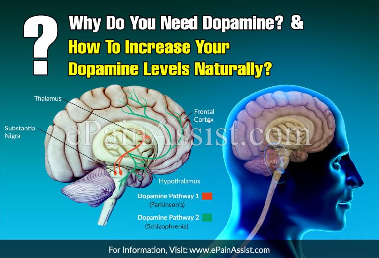 Why Do You Need Dopamine & How To Increase Your Dopamine Levels Naturally?