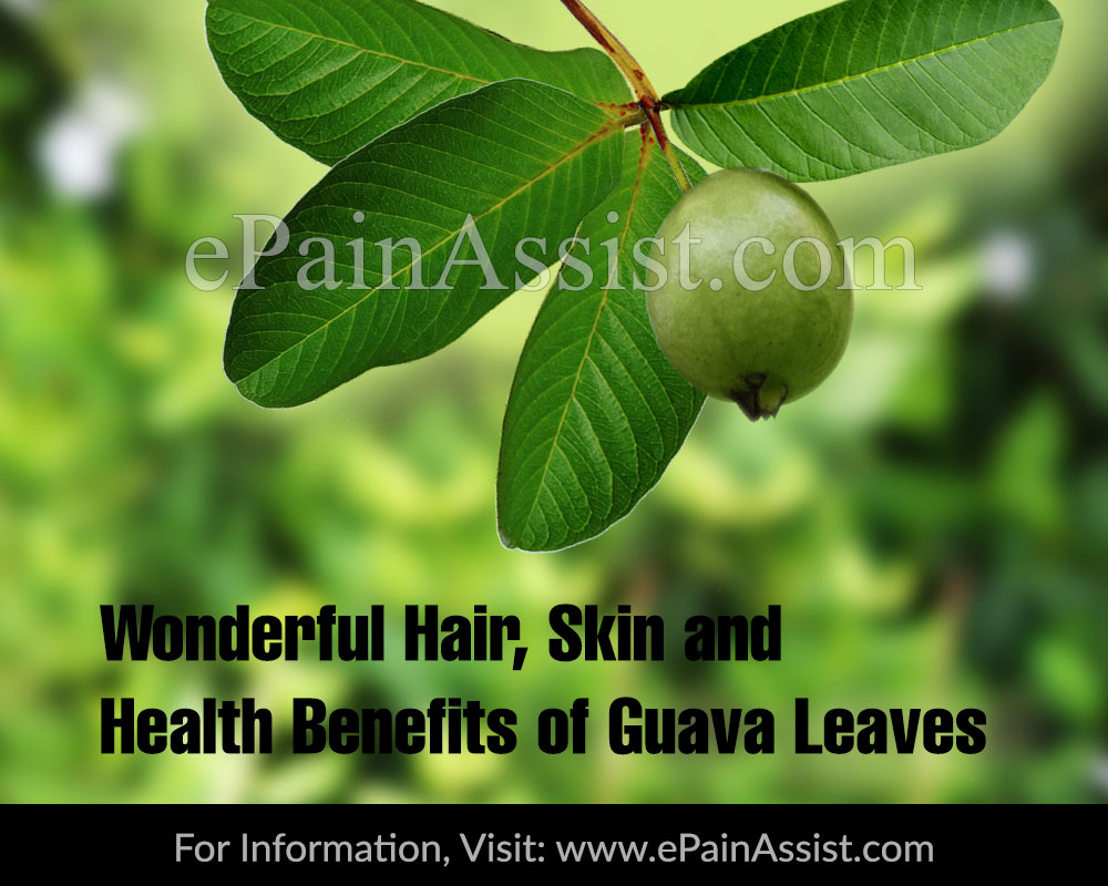 Wonderful Hair Health Benefits of Guava Leaves