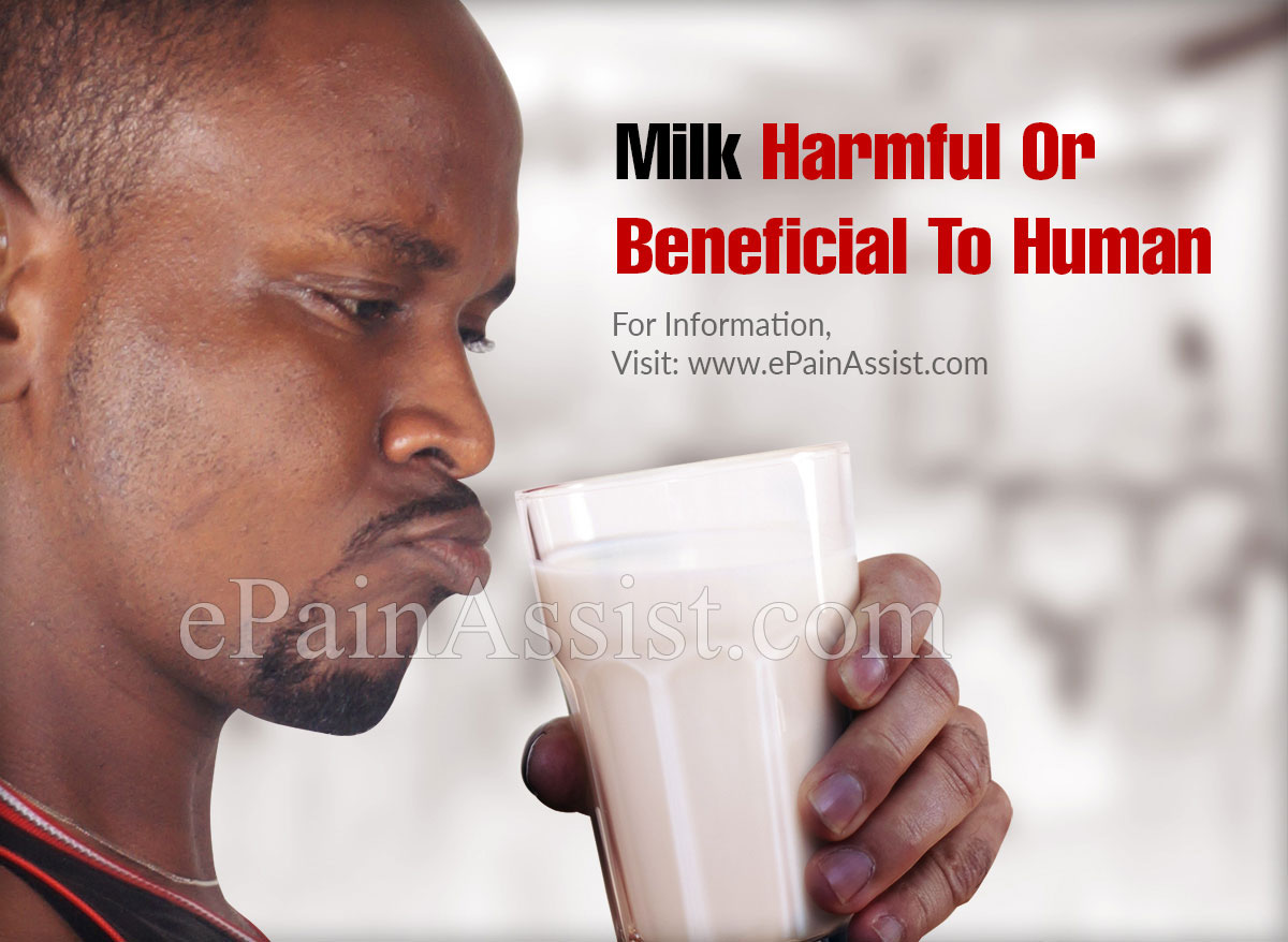 Milk Harmful Or Beneficial To Human Health