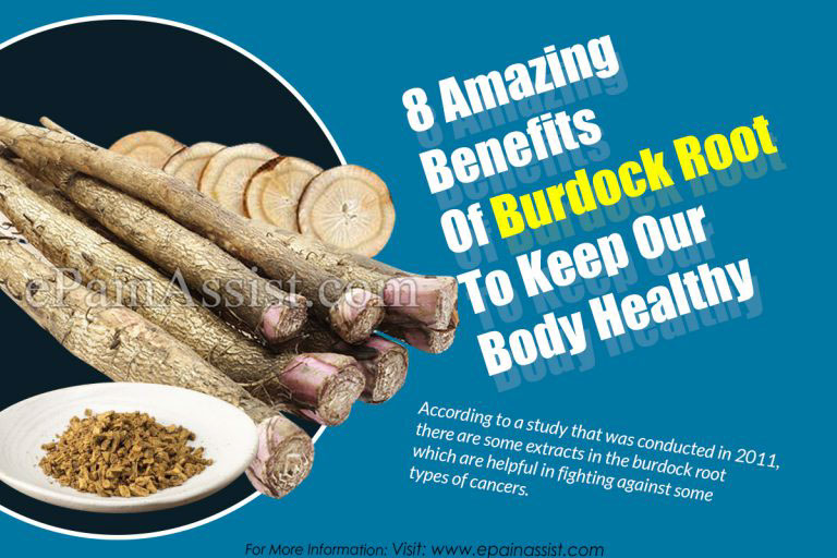 8 Amazing Benefits Of Burdock Root To Keep Our Body Healthy
