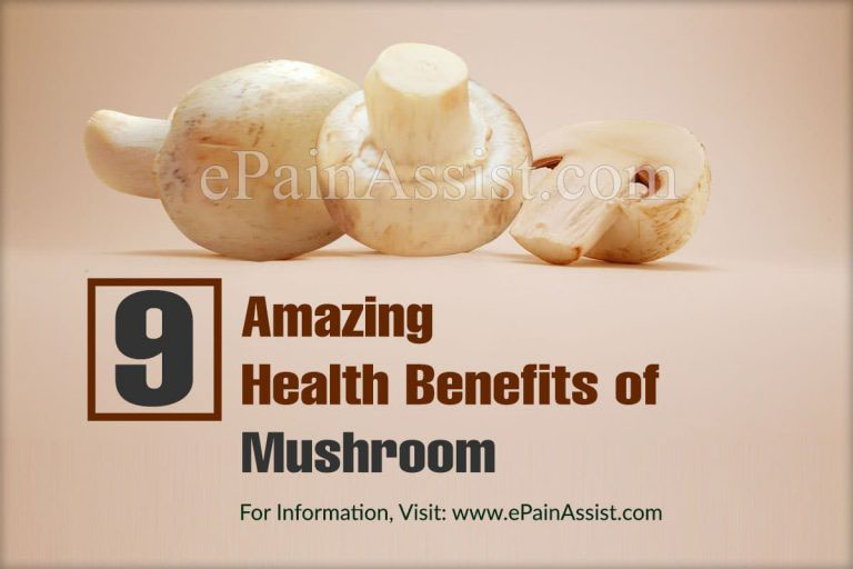 9 Amazing Health Benefits of Mushroom