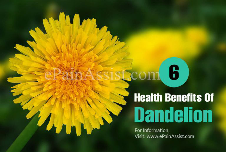 6 Health Benefits Of Dandelion