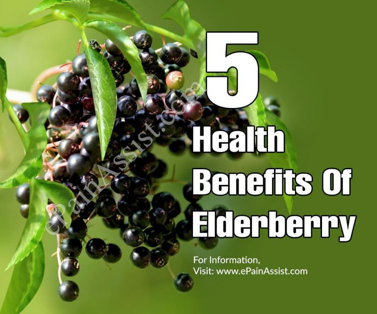 5 Health Benefits Of Elderberry & Its Risks and Side Effects