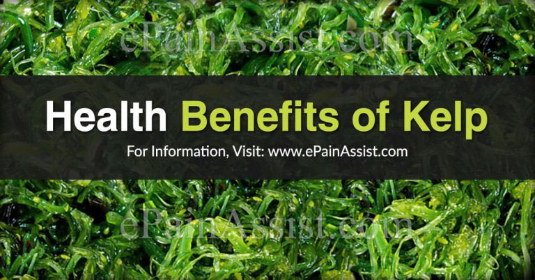 Health Benefits of Kelp & Ways to Include Kelp in Your Diet