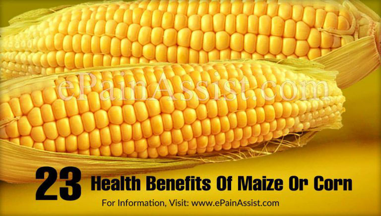 Nutritional Facts Of Maize Or Corn (Butta) & its 23 Health Benefits