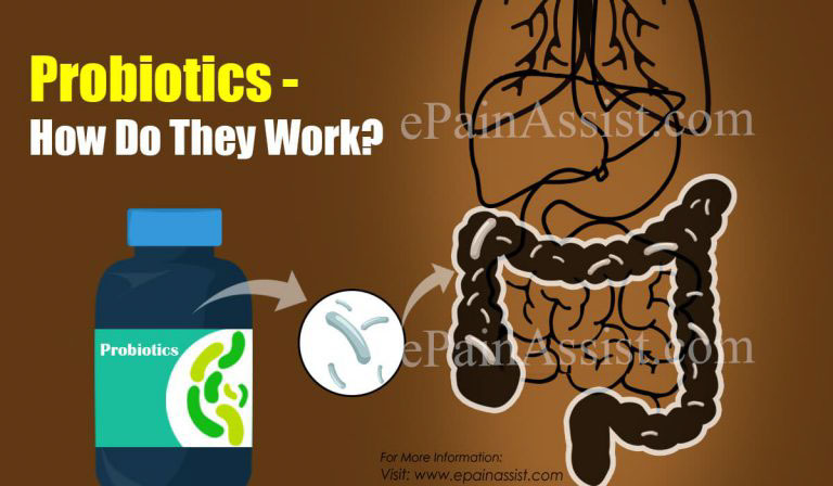 Probiotics – How Do They Work?|Top 5 Probiotics From Food