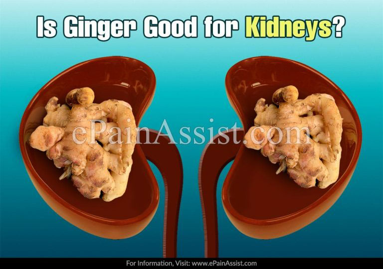 Is Ginger Good for Kidneys & How Does Ginger Benefit in Preventing Kidney Problems