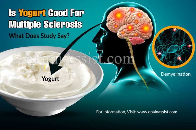 Is Yogurt Good For Multiple Sclerosis – What Does Study Say?