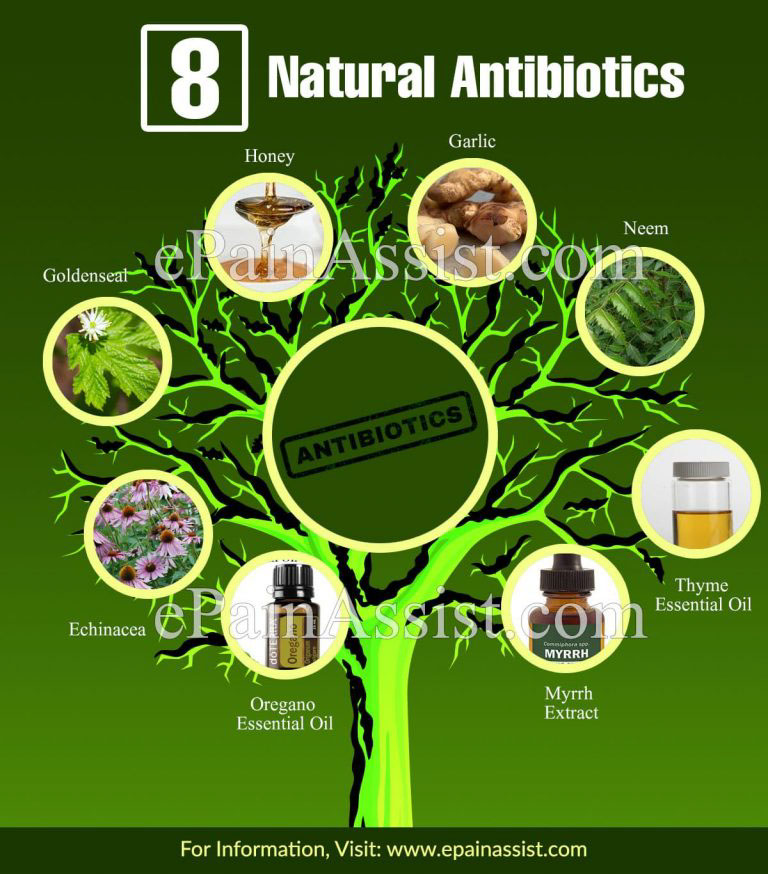8 Natural Antibiotics