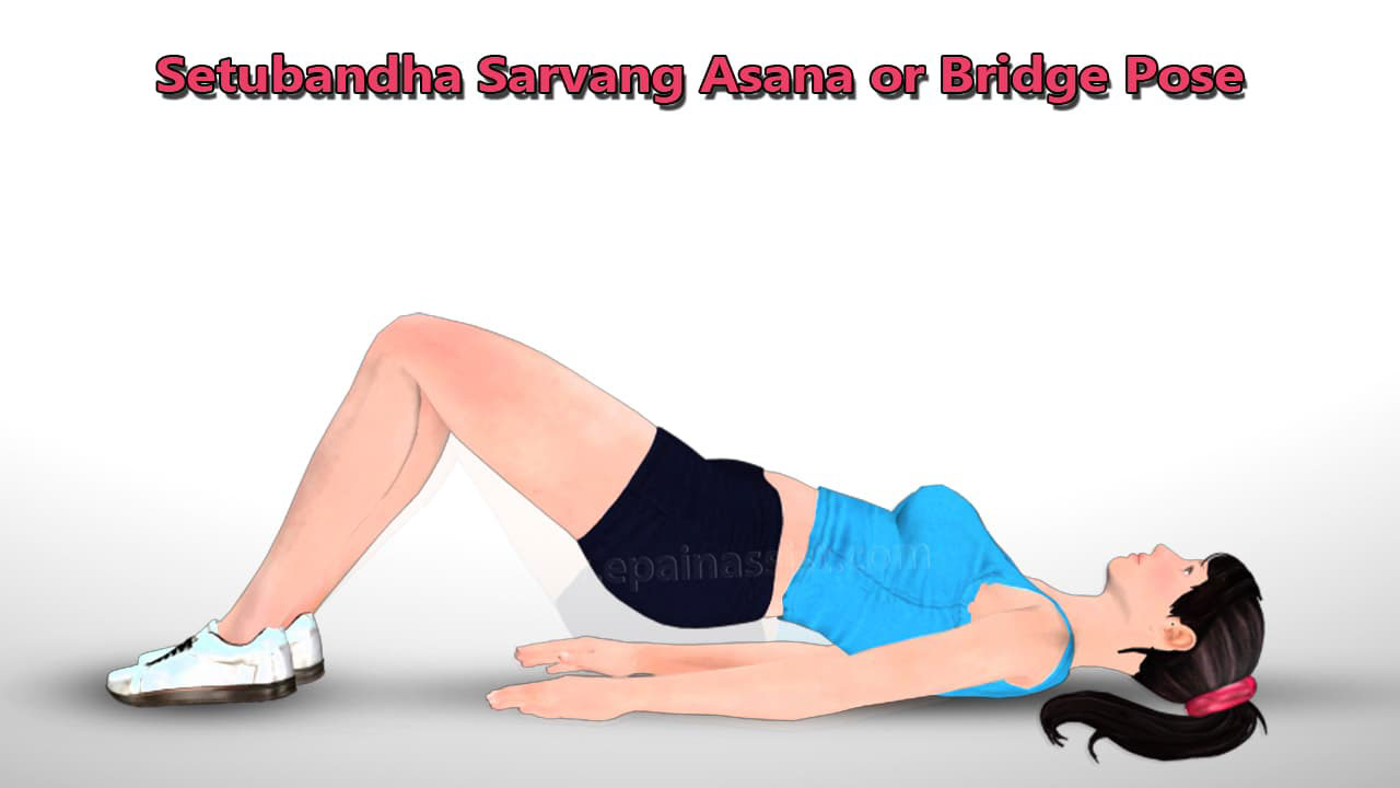 Setu Bandhasana or the bridge pose for common variable immune deficiency (CVID)