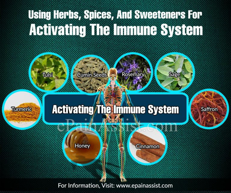 Using Herbs, Spices, And Sweeteners For Activating The Immune System