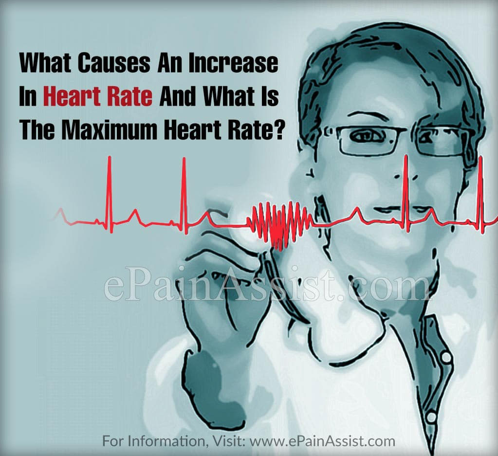 What Causes An Increase In Heart Rate And What Is The Maximum Heart Rate?