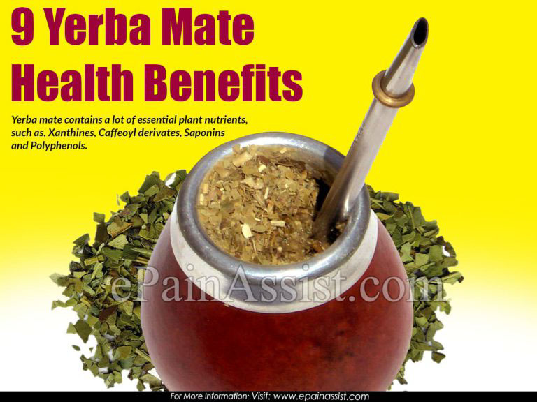 9 Yerba Mate Health Benefits & Ways to Make Yerba Mate Tea
