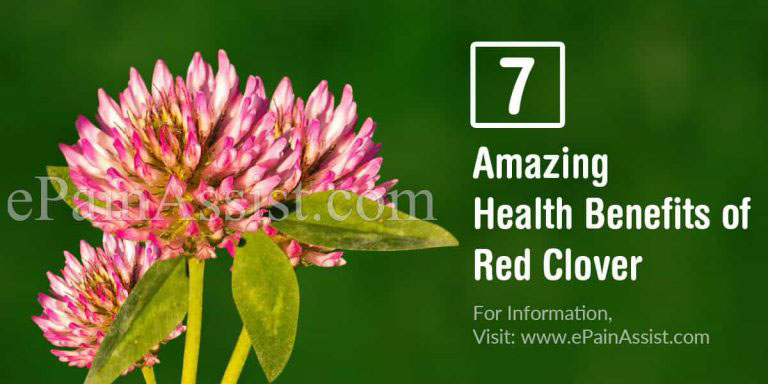 7 Amazing Health Benefits of Red Clover