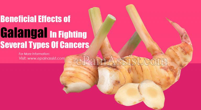 Beneficial Effects of Galangal In Fighting Several Types Of Cancers
