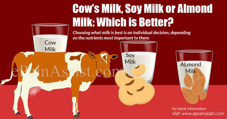 Cow’s Milk, Soy Milk or Almond Milk: Which is Better?