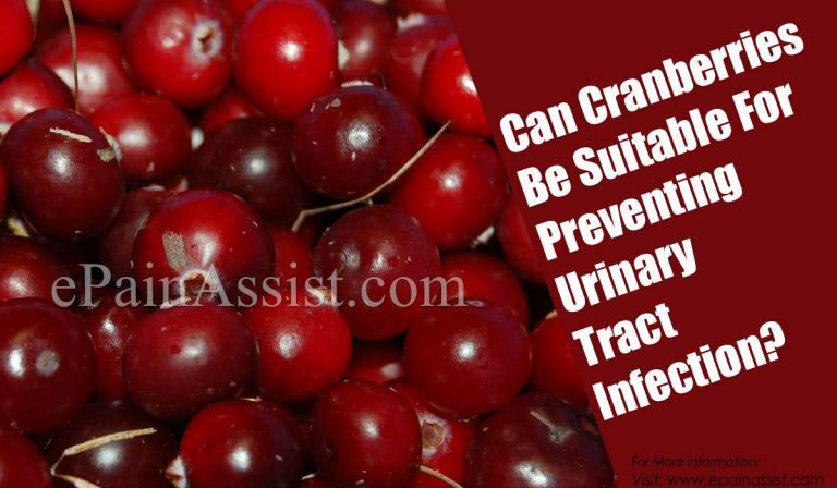 Scientific Explanation on Whether Cranberries Help In Treating Urinary Tract Infections?