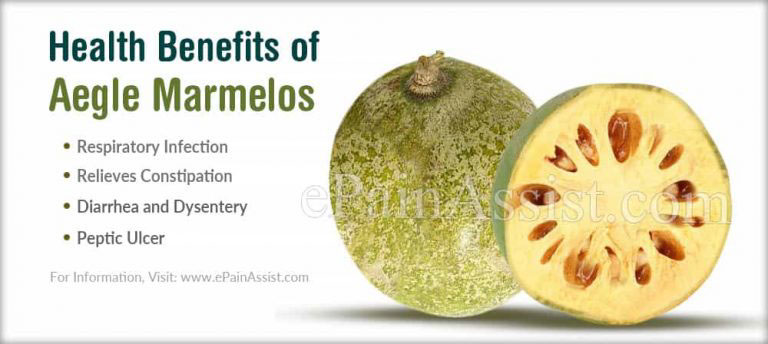Health Benefits and Medical Uses of Aegle Marmelos or Bael Fruit
