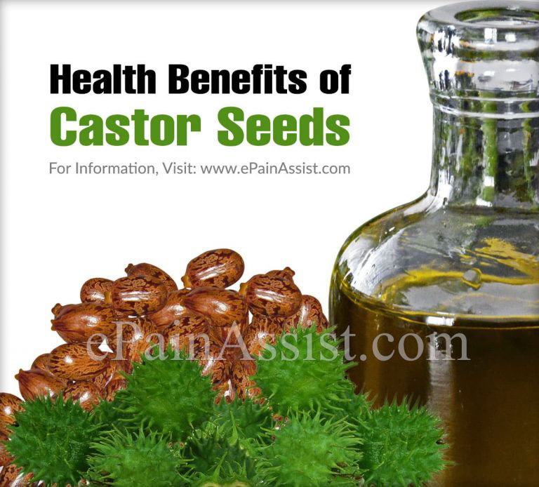 9 Amazing Health Benefits of Castor Seeds