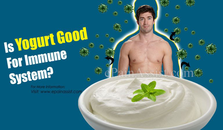 Is Yogurt Good For Immune System?