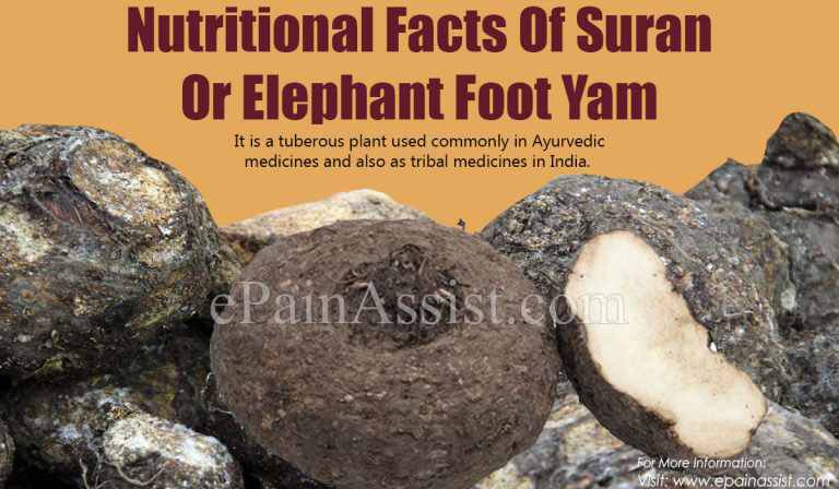Nutritional Facts & 15 Amazing Health Benefits Of Suran Or Elephant Foot Yam