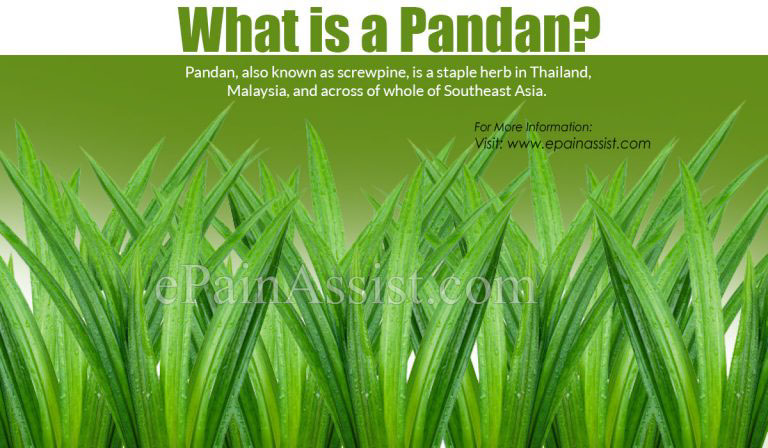 What Is A Pandan & What Are Its Uses and Benefits?