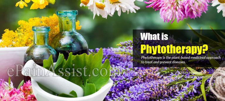 What is Phytotherapy & What are its Benefits? | Types & Side Effects of Phytotherapy