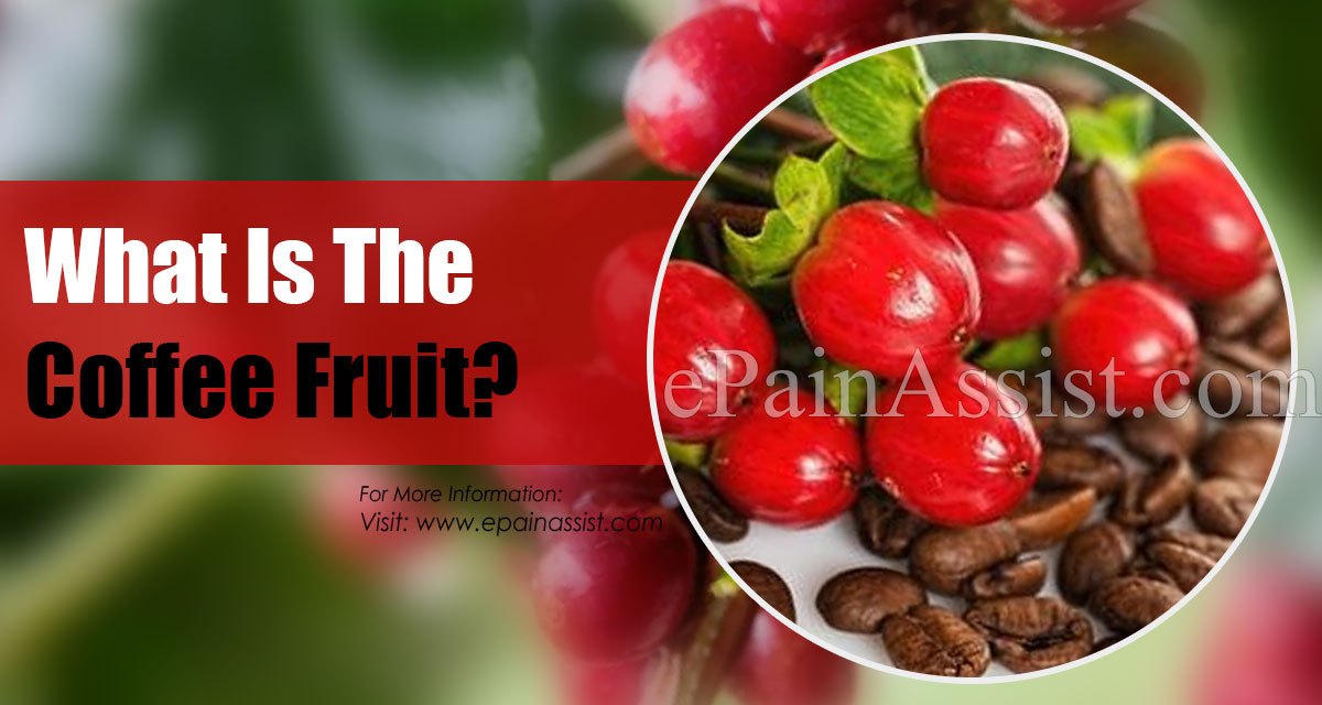 What Is The Coffee Fruit?