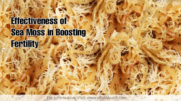 Effectiveness of Sea Moss in Boosting Fertility
