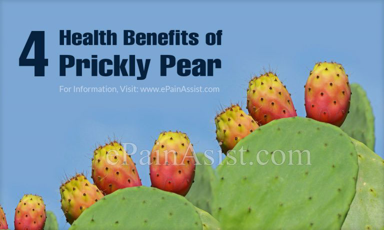 Prickly Pear: Nutrients, Health Benefits and Side Effects