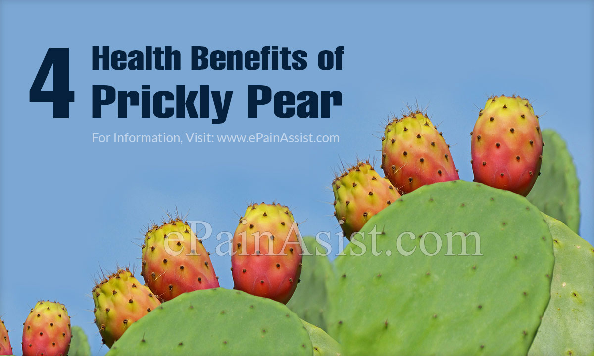 Prickly Pear Nutrients Health Benefits And Side Effects Prickly Pear Nutrients Health Benefits And Side Effects