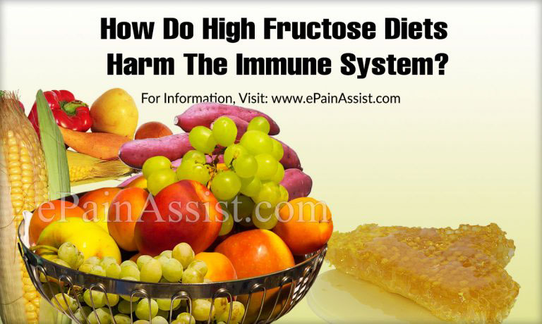 How Do High Fructose Diets Harm The Immune System?