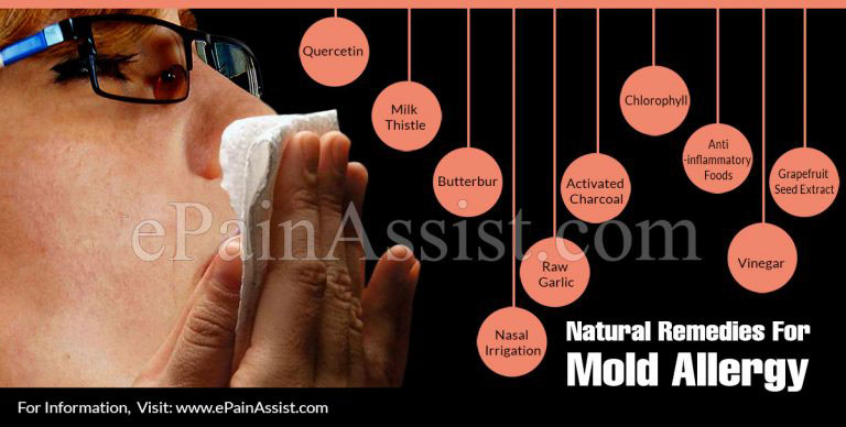 Natural Remedies For Mold Allergy