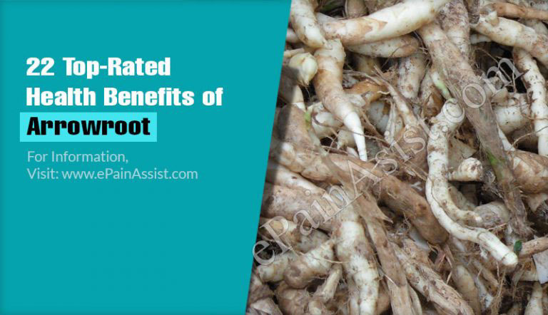 Nutritional Profile Of Arrowroot & Its 22 Top-Rated Health Benefits