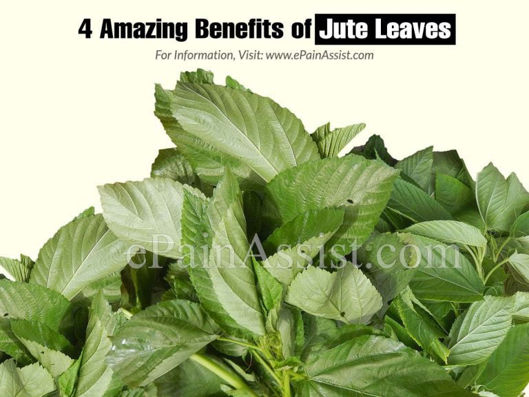 Jute Leaves: Nutrition & 4 Amazing Benefits of Jute Leaves