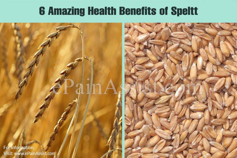 6 Amazing Health Benefits of Spelt