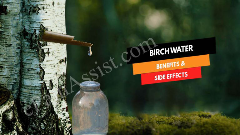 Birch Water : Benefits & Side Effects