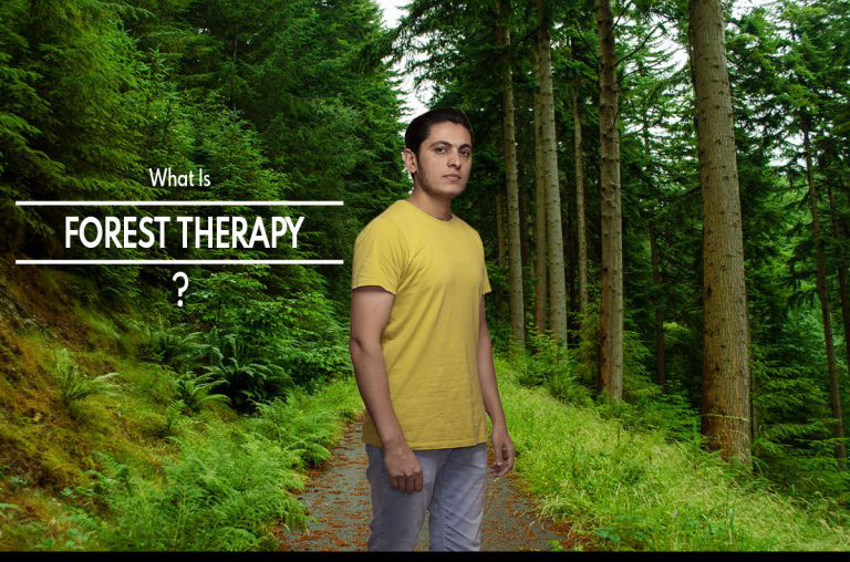 Forest Therapy: 4 Ways in Which Forest Therapy Can Enhance Health and Well-Being