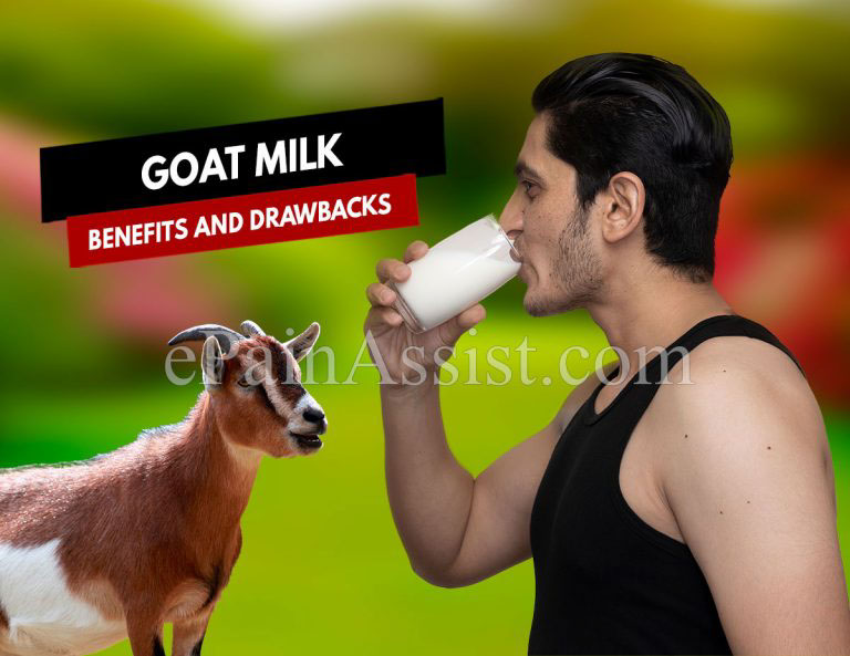 Goat Milk : Benefits and Drawbacks