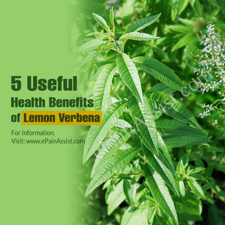 5 Useful Health Benefits of Lemon Verbena
