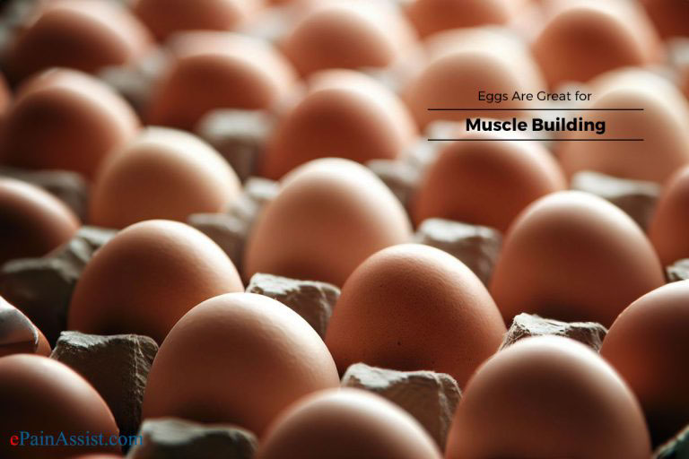17 Foods That are Absolutely Best for Muscle Growth